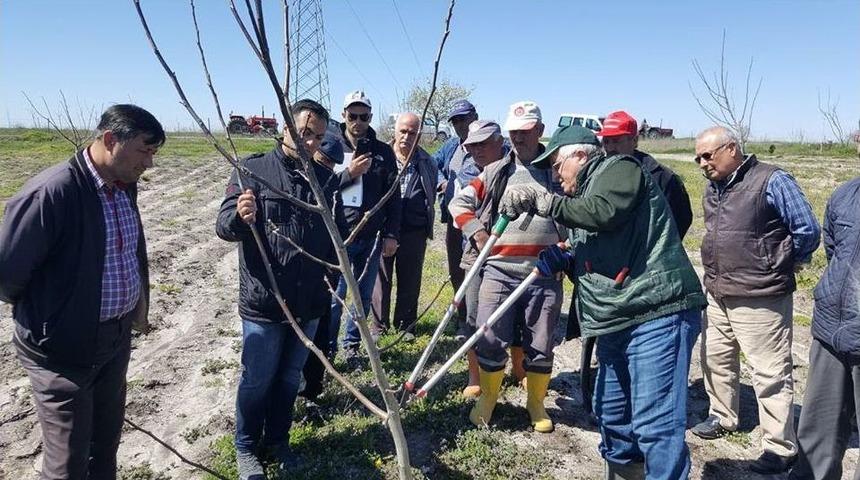 K&ouml;yl&uuml;ye Kapsamlı Ceviz Eğitimi