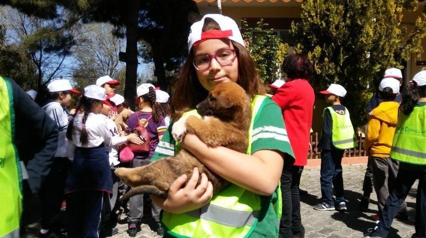 Sokak Hayvanları G&uuml;n&uuml; Gaziantep&rsquo;te Kutlandı