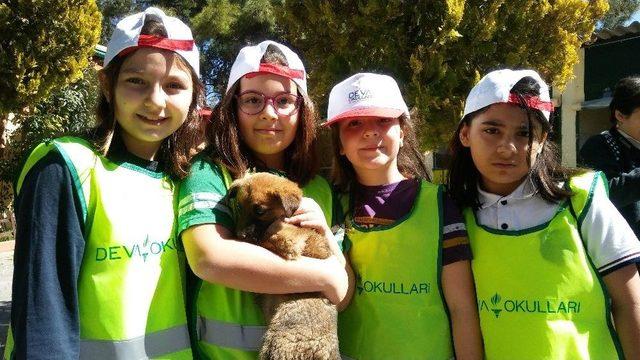 Sokak Hayvanları Günü Gaziantep’te Kutlandı 1