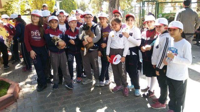 Sokak Hayvanları Günü Gaziantep’te Kutlandı 2