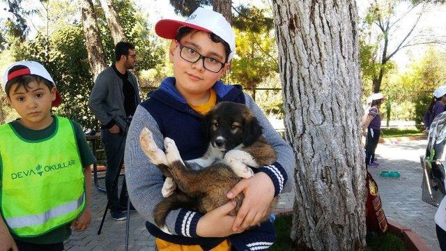 Sokak Hayvanları Günü Gaziantep’te Kutlandı 3