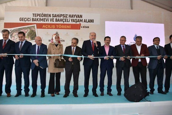 Dünyanın En Büyük İkinci Hayvan Bakımevi Hizmete Açıldı G2
