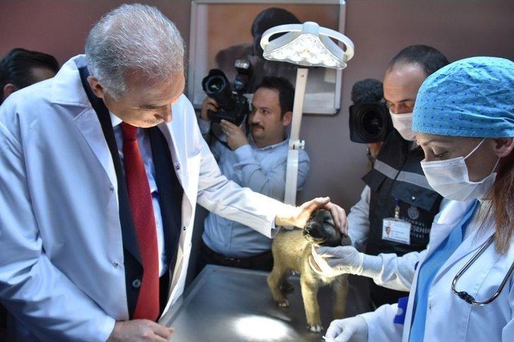 Dünyanın En Büyük İkinci Hayvan Bakımevi Hizmete Açıldı G3