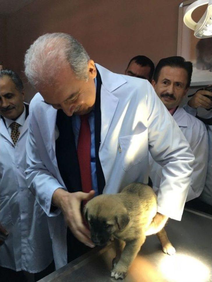 Dünyanın En Büyük İkinci Hayvan Bakımevi Hizmete Açıldı G5