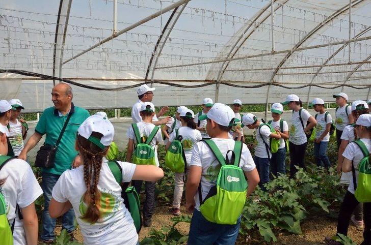 İlkokul Öğrencileri Tarım Ürünlerini Tarlada İnceledi G5