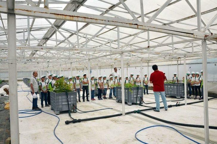 İlkokul Öğrencileri Tarım Ürünlerini Tarlada İnceledi G1