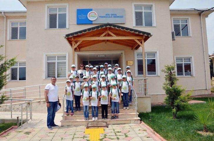 İlkokul Öğrencileri Tarım Ürünlerini Tarlada İnceledi G2