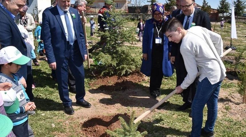 Öğrencilerden Zeytin Dalı’na Özel Hatıra Ormanı