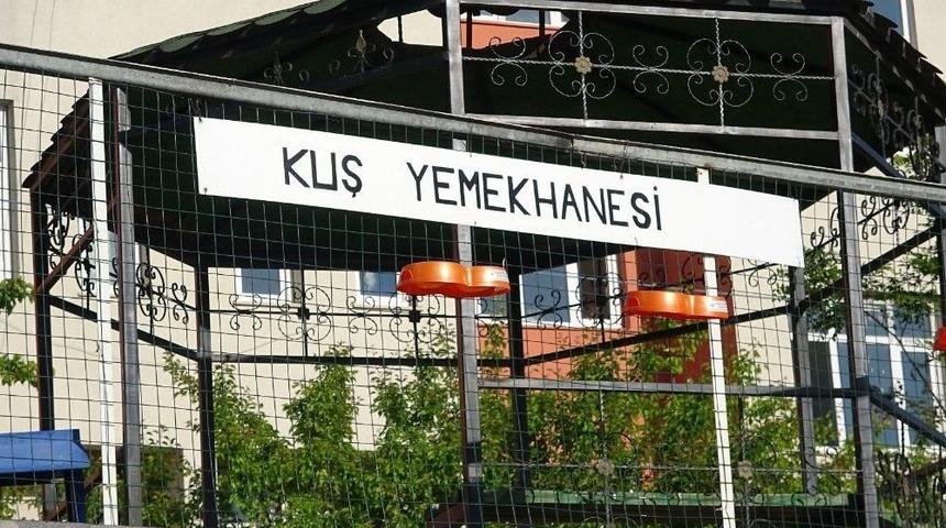 &Ouml;ğretmen Ve &Ouml;ğrencilerden Kuşlar İ&ccedil;in Yemekhane