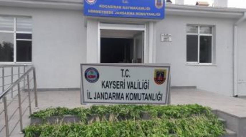 Kayseri’de Yasadışı Ekime Geçit Yok