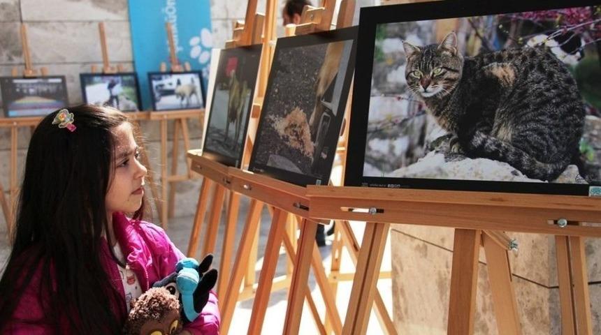 Can Dostları Bu Fotoğraflarda