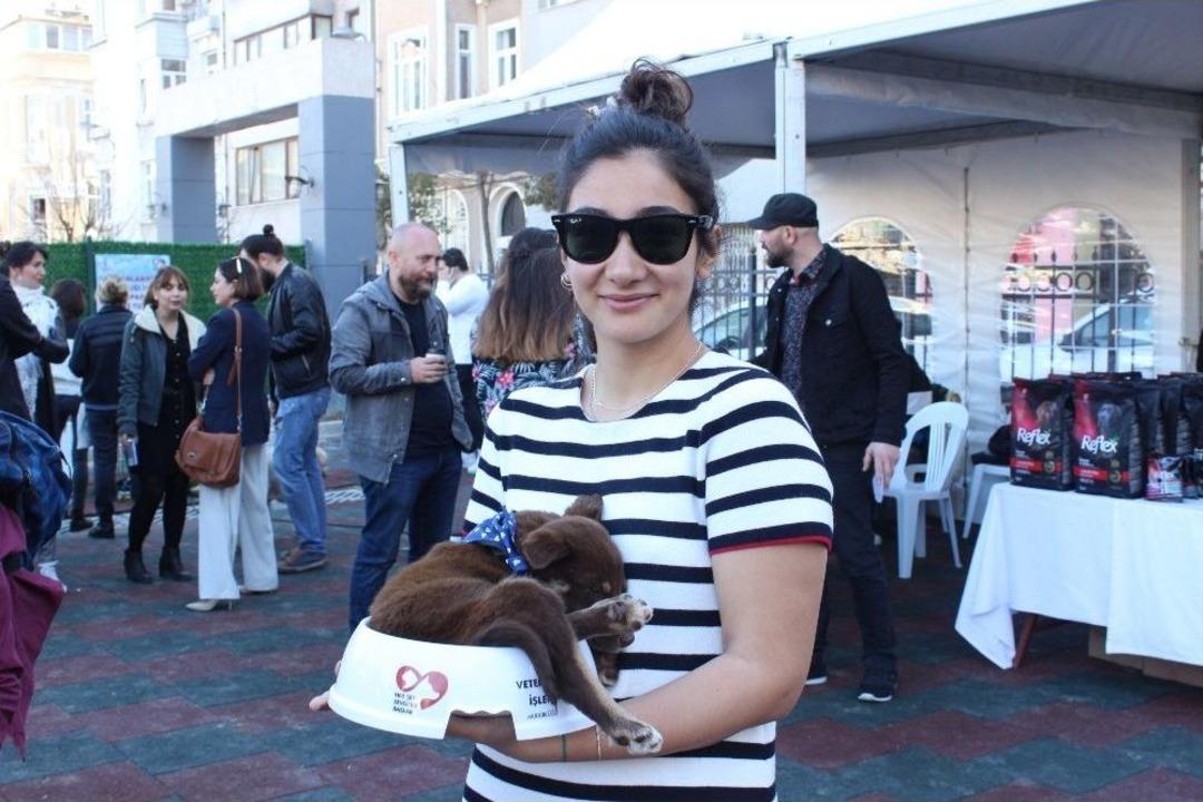 Cihangir&rsquo;de Sokak Hayvanları Yeni Sahiplerine Kavuştu