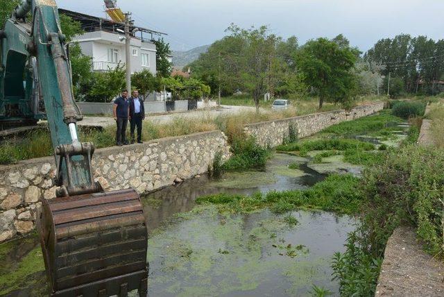 Büyük Menderes Nehrinde Temizlik Çalışmaları