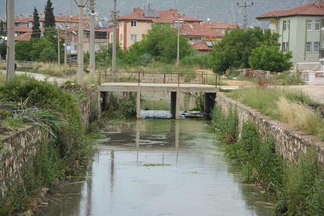 Büyük Menderes Nehrinde Temizlik Çalışmaları