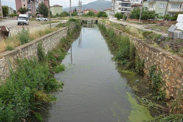 Büyük Menderes Nehrinde Temizlik Çalışmaları