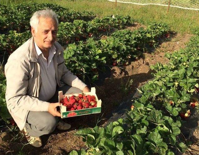 Mşü’de Hobi Bahçesi Çalışmasında Sona Gelindi