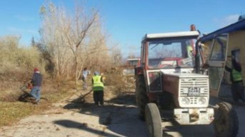 Seydişehir Belediyesi Ağa&ccedil;ları Buduyor
