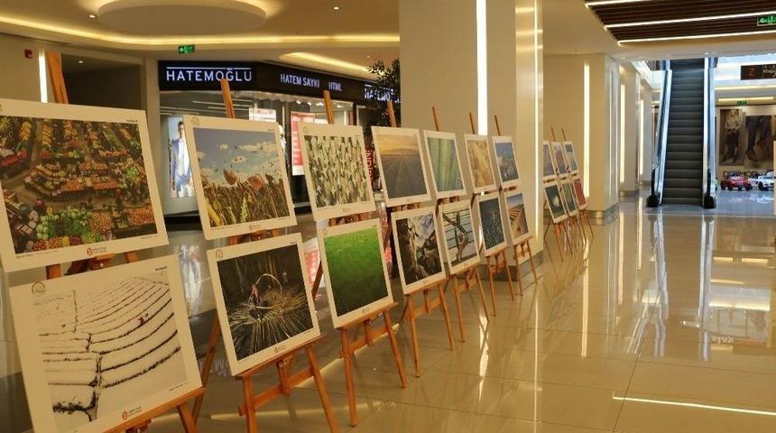 Tarım Ve İnsan Fotoğraf Sergisi