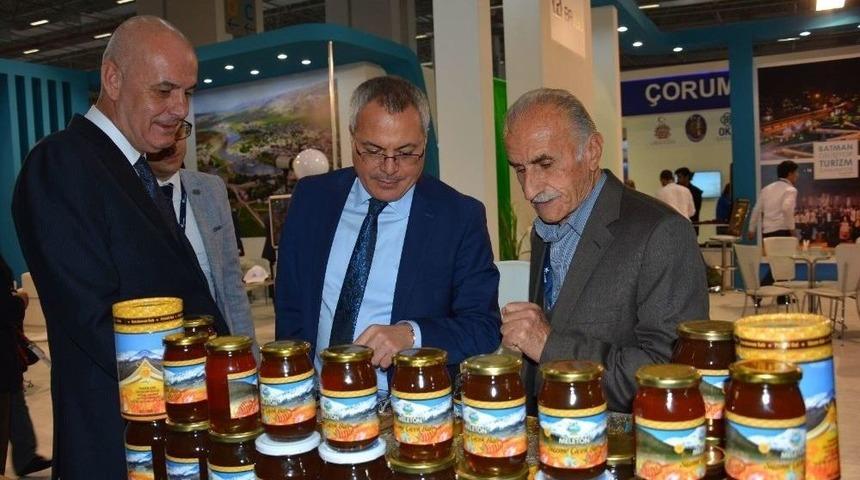 Batman Gelişiyor, Turizm Canlanıyor