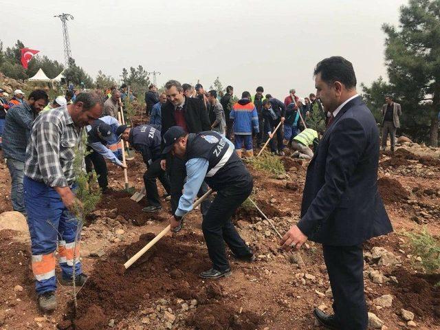 Kilis’te 2 Bin Fidan Toprakla Buluştu