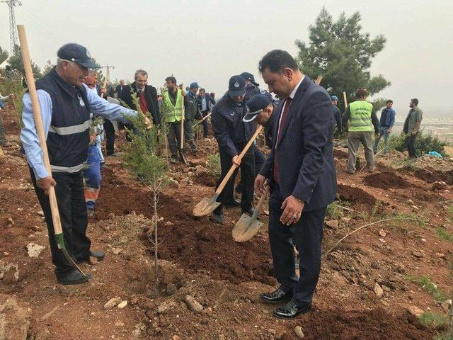 Kilis’te 2 Bin Fidan Toprakla Buluştu