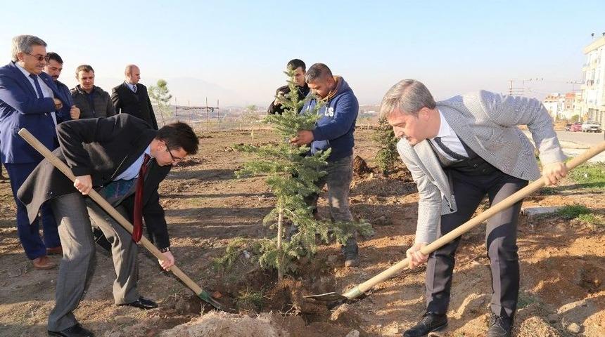 Başkan Şirin: "amacımız Daha Yeşil Bir Turgutlu İnşa Etmek"