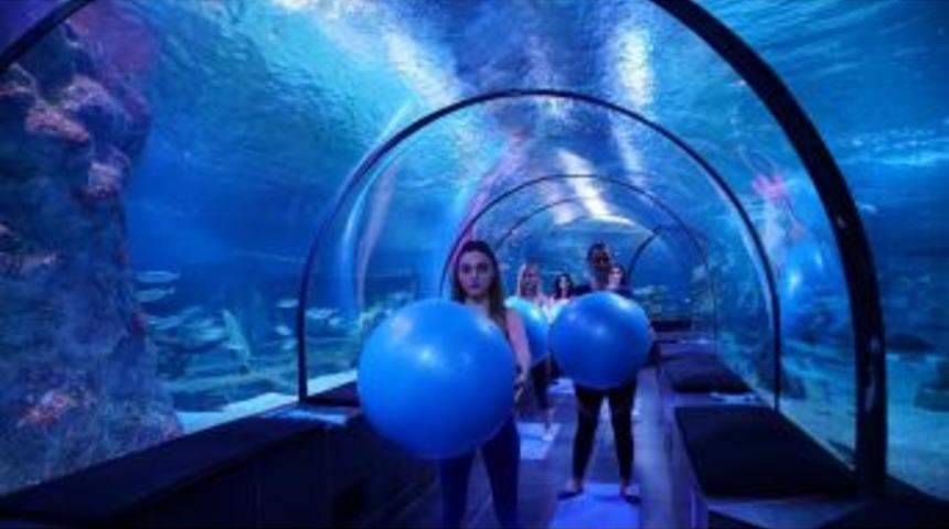 K&ouml;pek Balıkları Eşliğinde Pilates Dersleri