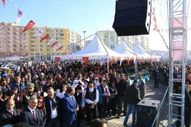 Kızıltepe’de ‘hamsi Festivali’ Renkli Görüntülere Sahne Oldu