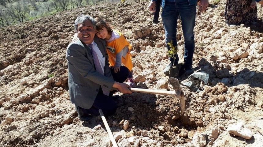 &Ouml;nce Fidan Diktiler Sonra Da Doğaya Yem Bıraktılar