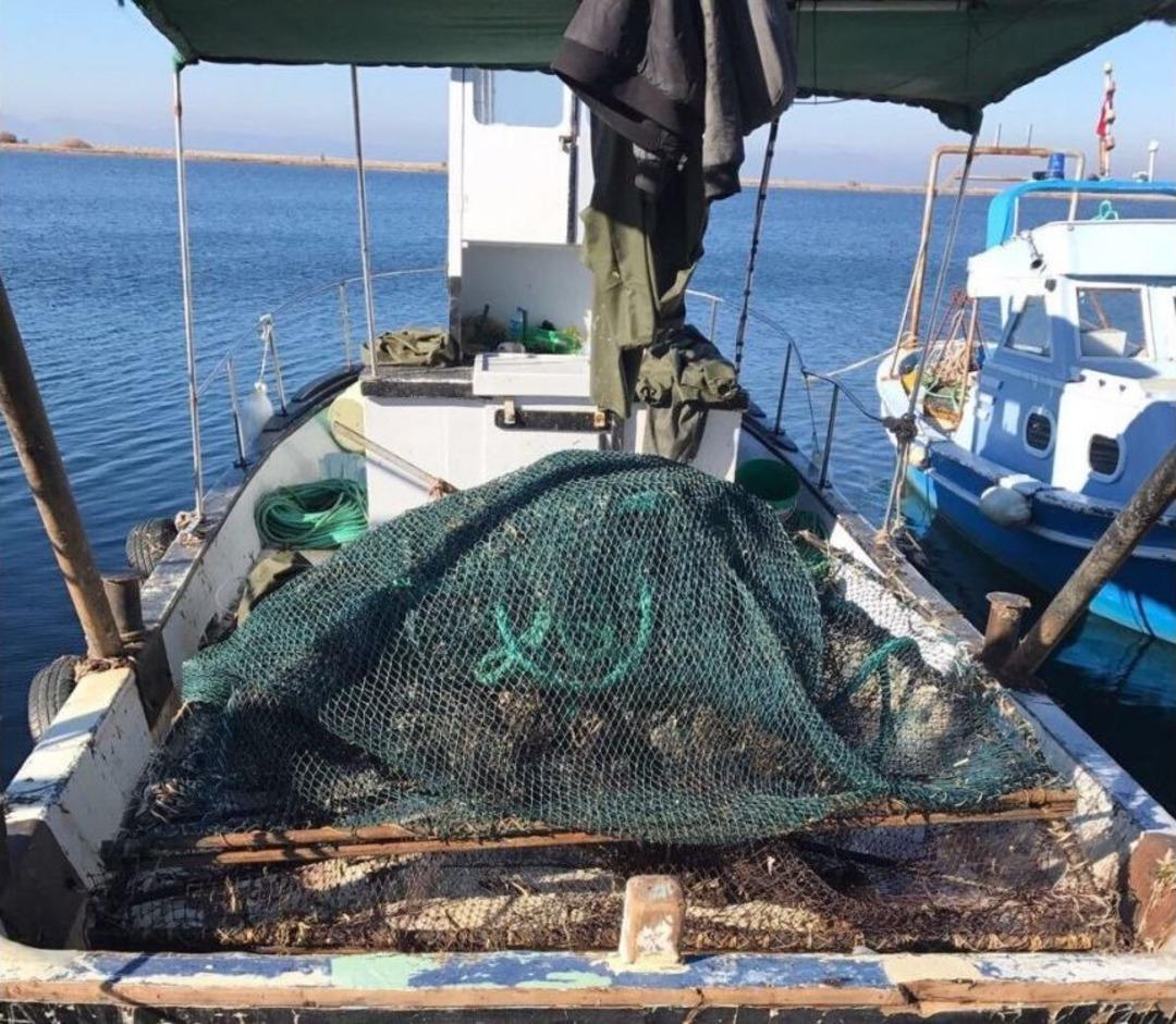 Ayvalık&rsquo;ta Deniz Patlıcanı Avcılarına Taviz Yok