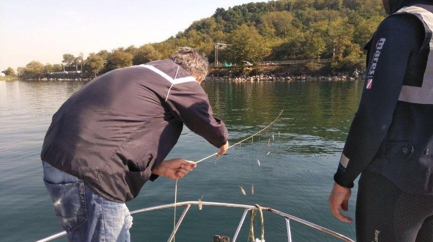 Sapanca G&ouml;l&uuml;&rsquo;nde Doğal Yaşam Korunuyor