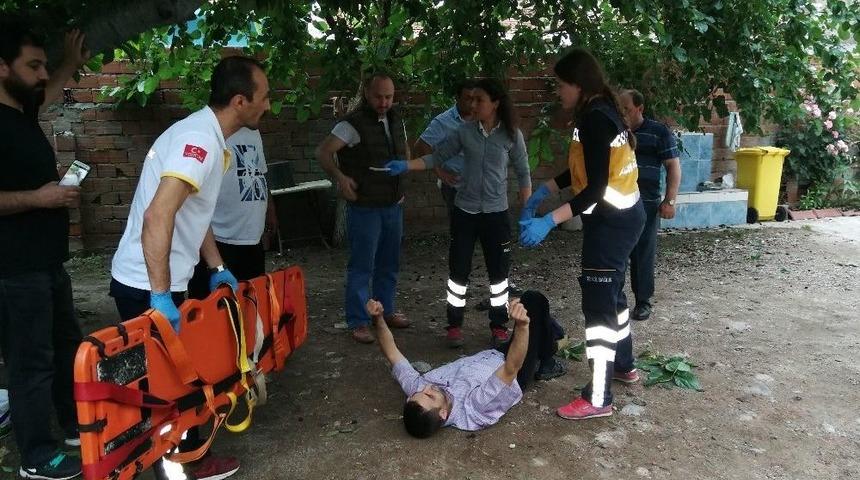 Dut Ağacından D&uuml;şen Şahıs Yaralandı