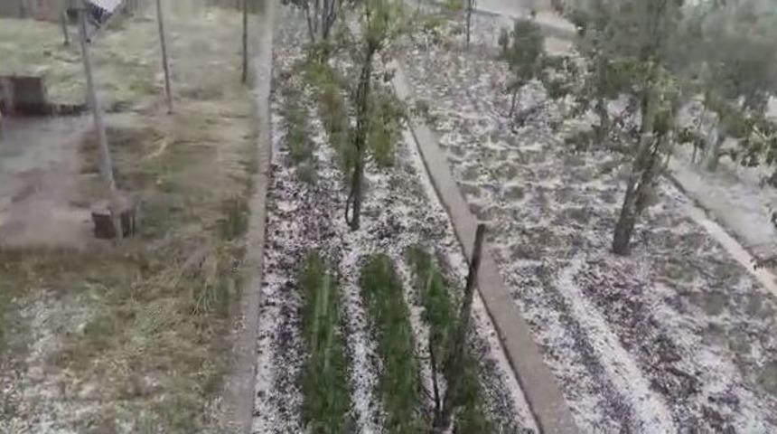 Osmaniye&rsquo;de Misket B&uuml;y&uuml;kl&uuml;ğ&uuml;ndeki Dolu Ekili Alanlara Zarar Verdi