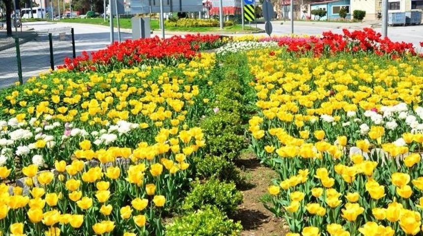 Lapseki’de Üst Yapı Çalışmaları Devam Ediyor