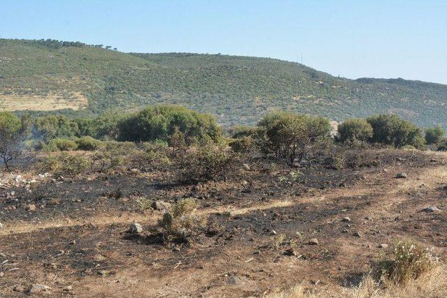 Çanakkale’de Makilik Yangını