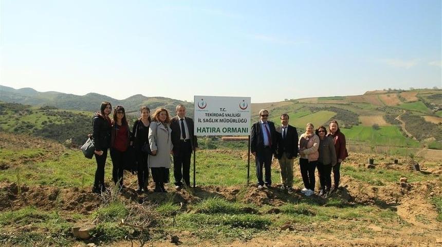 Solunum Hastalıklarına Karşı Fidan Diktiler