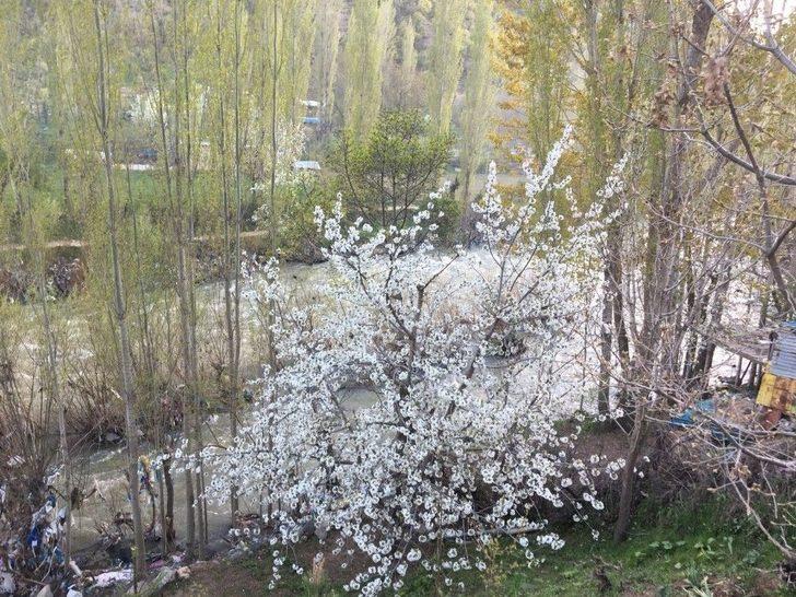 Beytüşşebap’ta İlkbahar Kartpostallık Görüntüler Oluşturdu G1