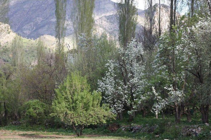 Beytüşşebap’ta İlkbahar Kartpostallık Görüntüler Oluşturdu G5