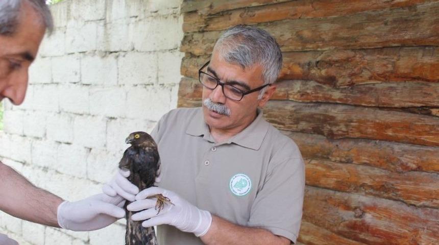 Mazot Tankına Düşen Kuş Kurtarıldı
