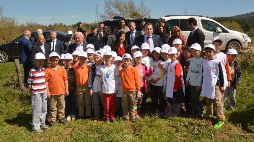 Lapseki&rsquo;de Fidan Dikimi