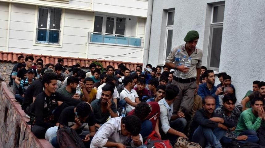 Tosya&rsquo;da G&ouml;&ccedil;men Ka&ccedil;ak&ccedil;ılığından 2 Kişiye Ceza Yağdı