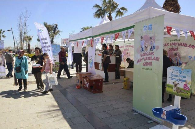 U&ccedil;amayan Ebabil Kuşu Emin Ellerde 2