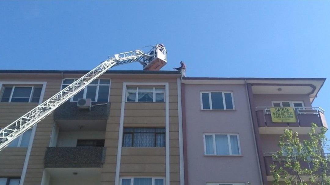 &Ccedil;atıya &Ccedil;ıkan Down Sendromlu Gen&ccedil; Y&uuml;rekleri Ağızlara Getirdi