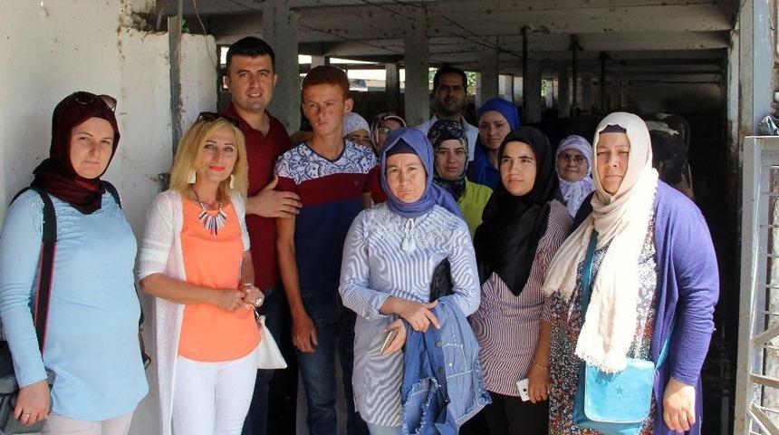 Kadın Çiftçilere “sürü Yönetimi Elemanı” Kursu