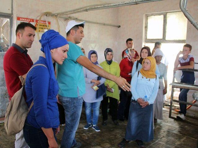 Kadın Çiftçilere “sürü Yönetimi Elemanı” Kursu