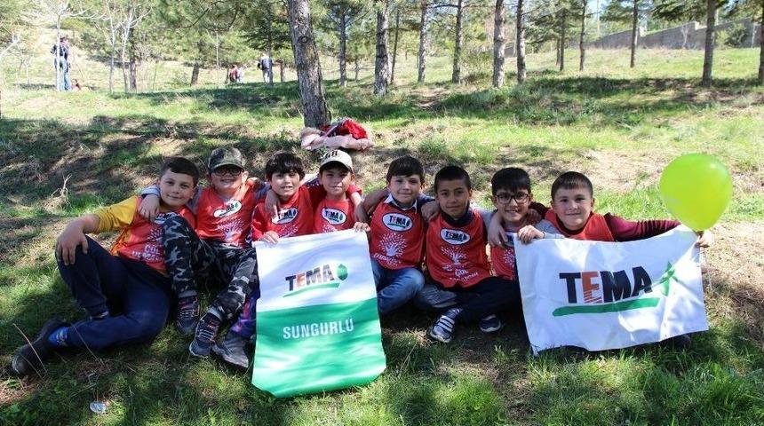 Sungurlu&rsquo;da &Ouml;ğrenciler Fidan Dikti