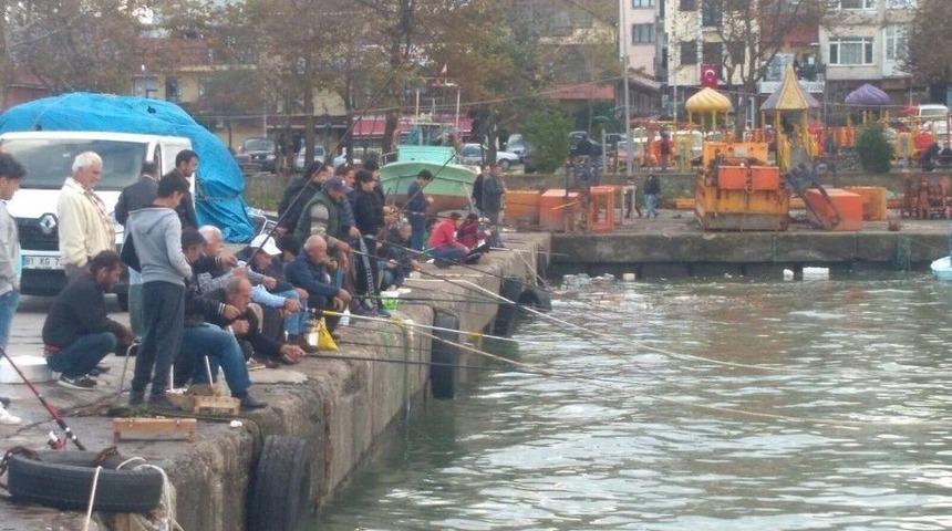 Ak&ccedil;akoca&rsquo;da Olta Avcıları İş Başında