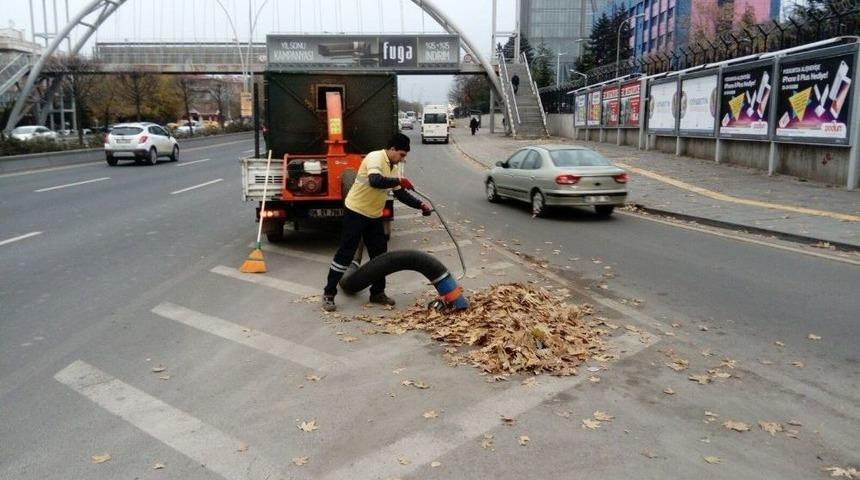 B&uuml;y&uuml;kşehir Ekiplerinin Yaprak Temizliği