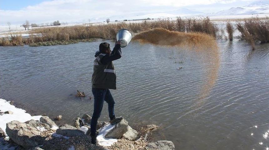 Van’da Yaban Hayvanları İçin Sulak Alanlara Yem Bırakıldı