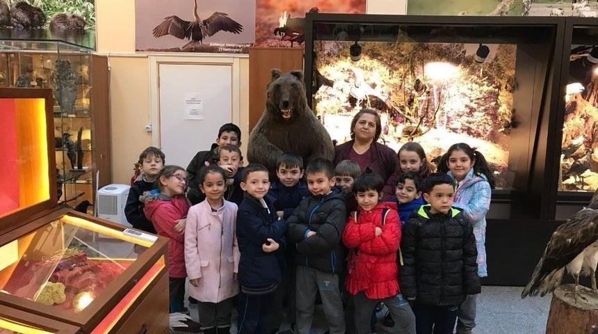 &Ouml;ğrenciler M&uuml;zedeki Hayvanları Canlı Sandı